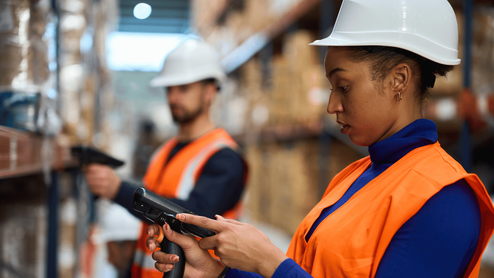 Warehouse & Logistics